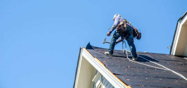 Roof Gutter Cleaning in Lisbon, OH